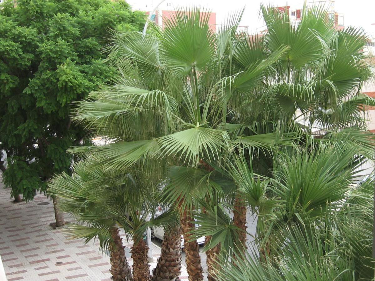 Excelente Apartamento Princesa 33 Torremolinos公寓 外观 照片